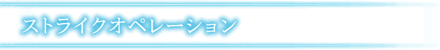 ストライクオペレーション